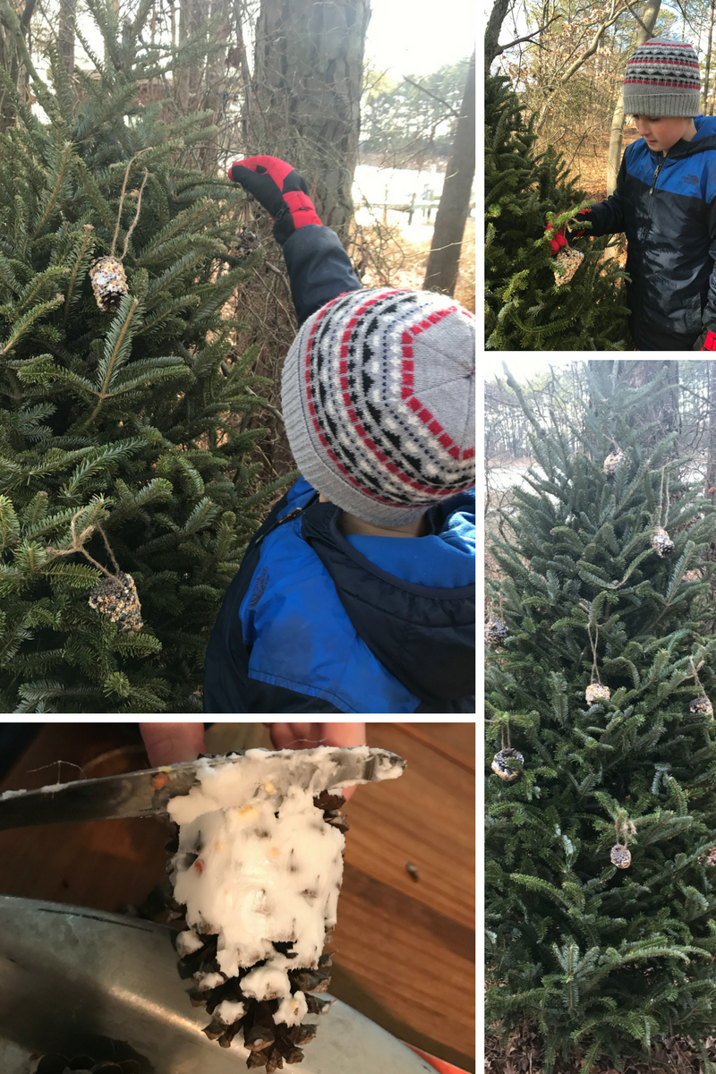 How To Decorate An Outdoor Christmas Tree For Birds