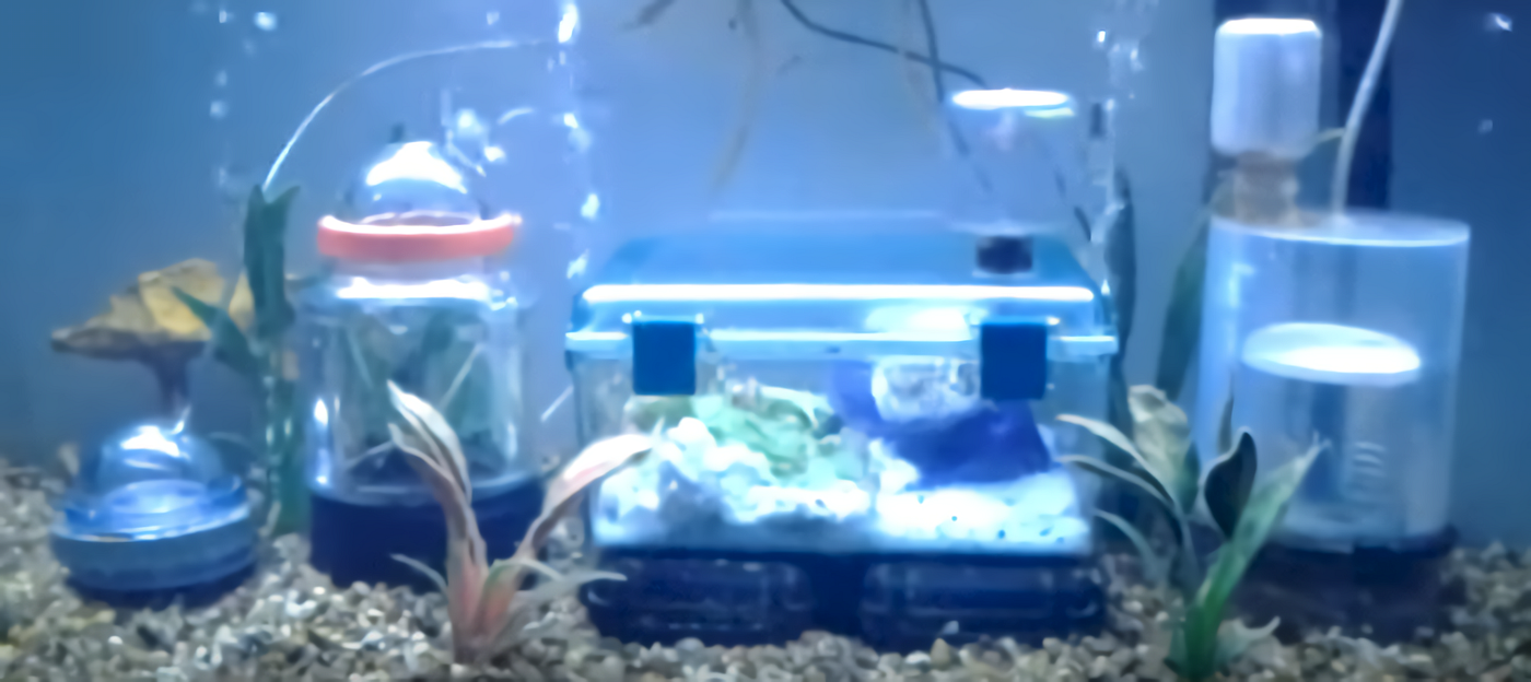 underwater hamster cage