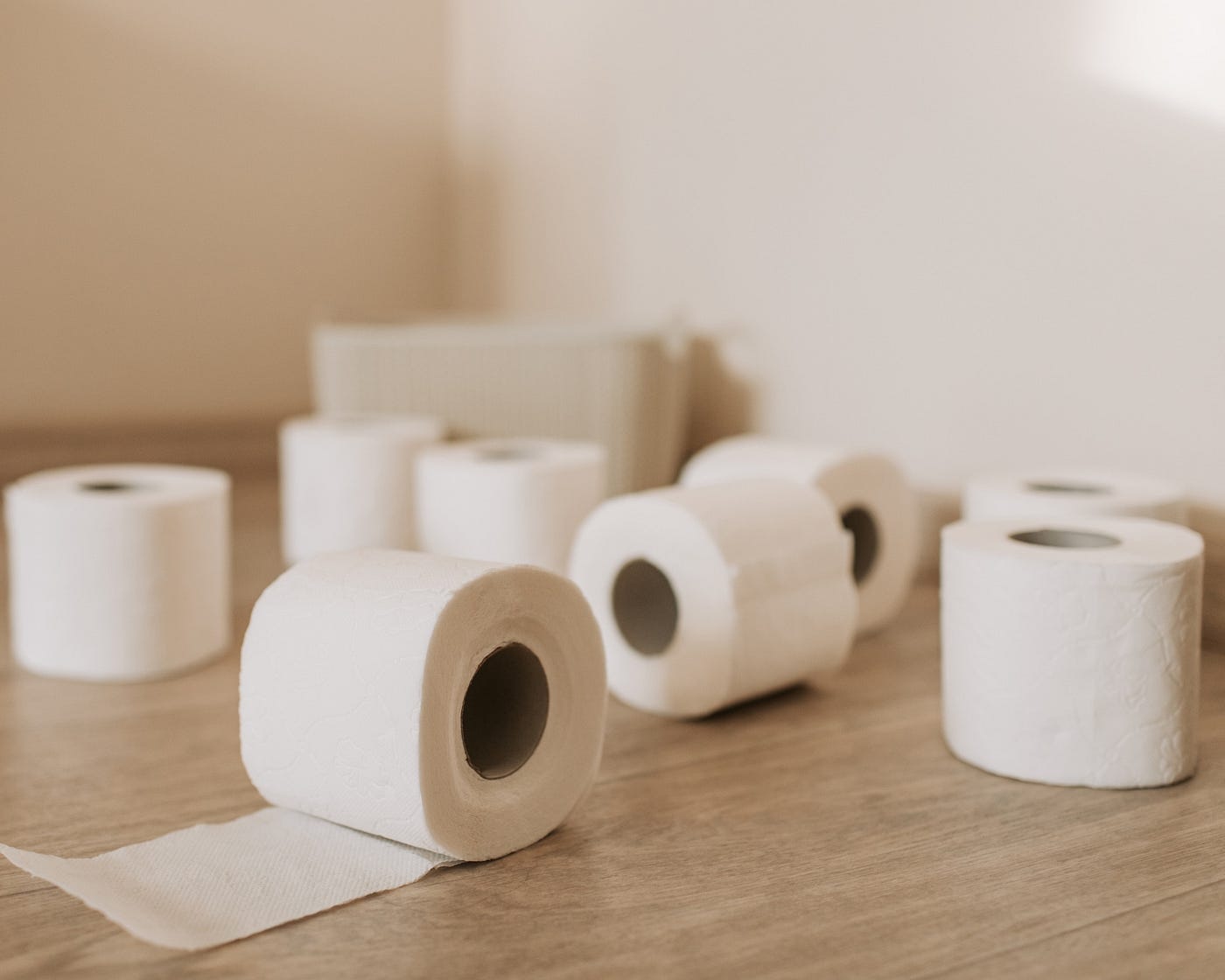 I Lost the Toilet Paper. And now I'm playing a dangerous game… | by Rene  Davis | Medium