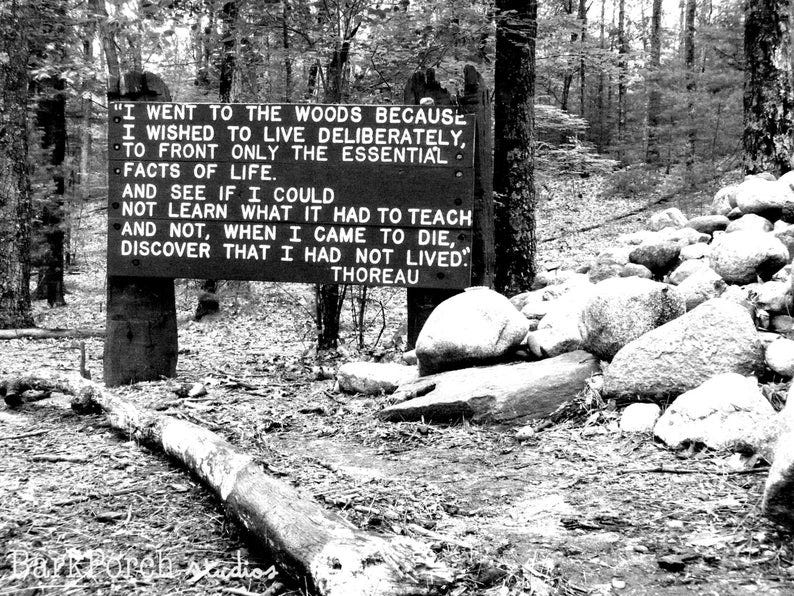 Thoreau quote on woods
