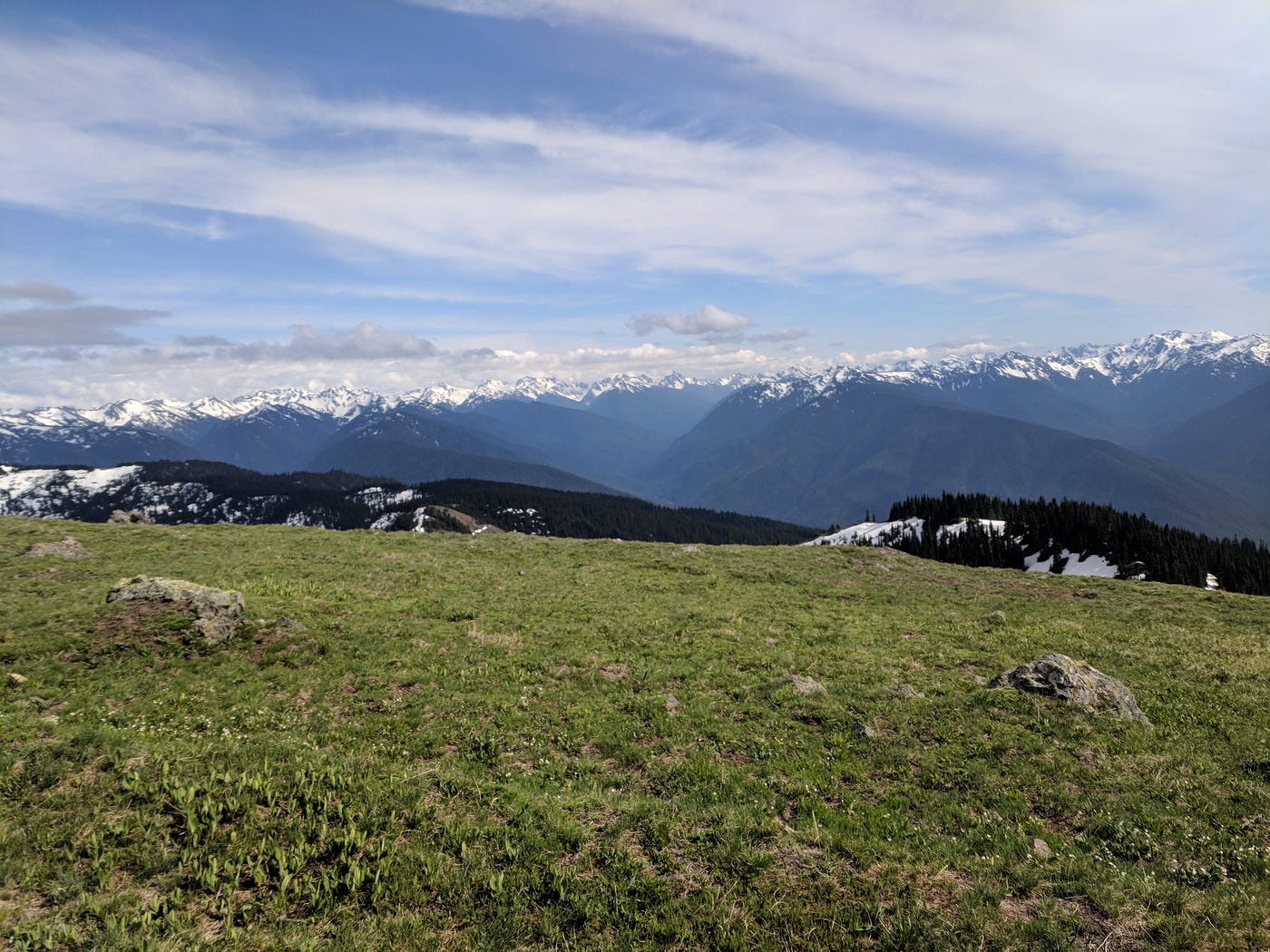Olympic National Park mountain range with a stretch of grass and rocks in the foreground