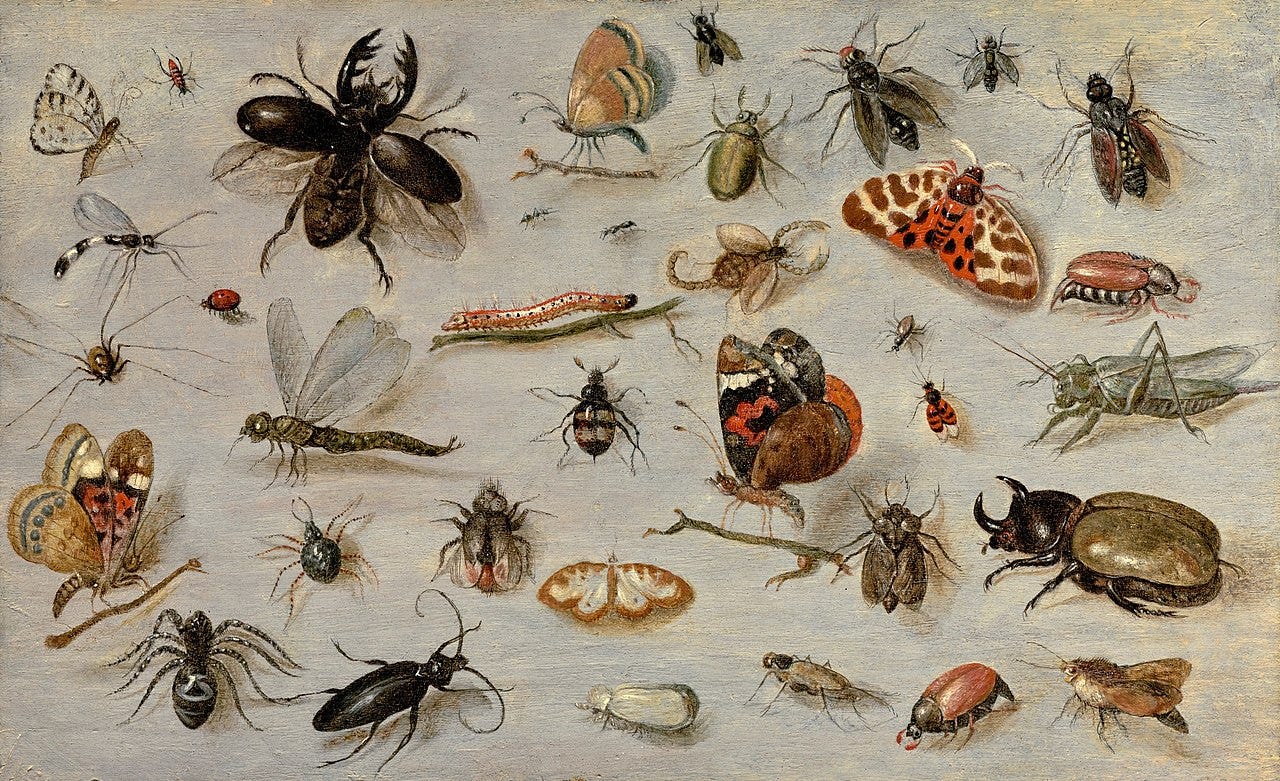 Insect Apocalypse. Insects are facing mass extinction —… | by Klaus Æ.  Mogensen | FARSIGHT | Medium