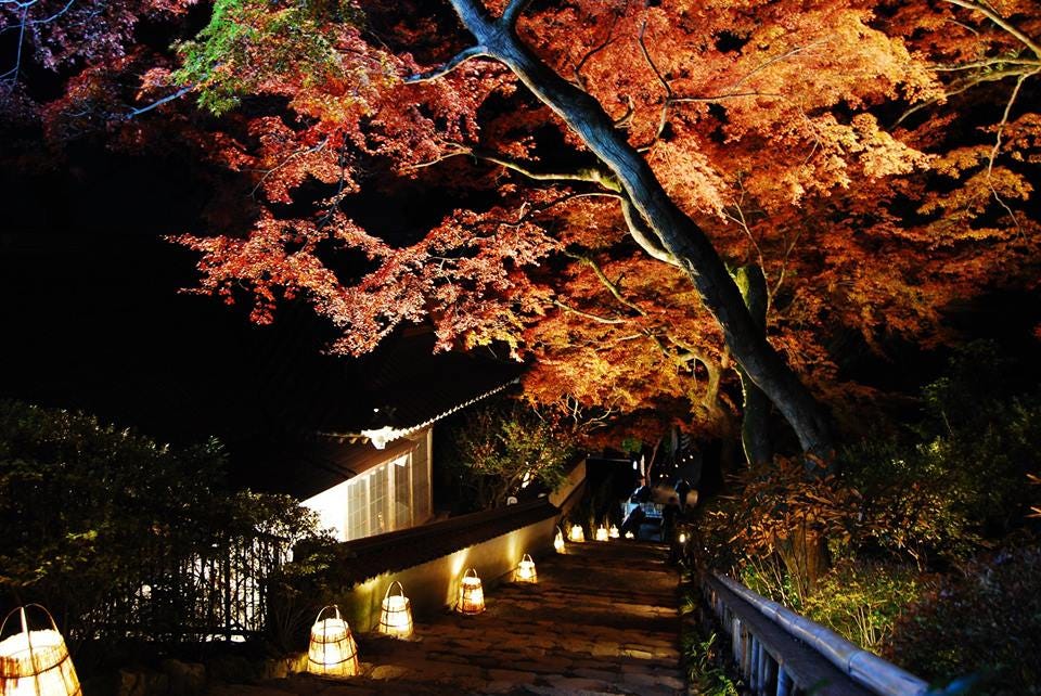 11月 赤紅燃燒之秋 佐賀大興善寺的 契山之燈物語 是日日本 Medium