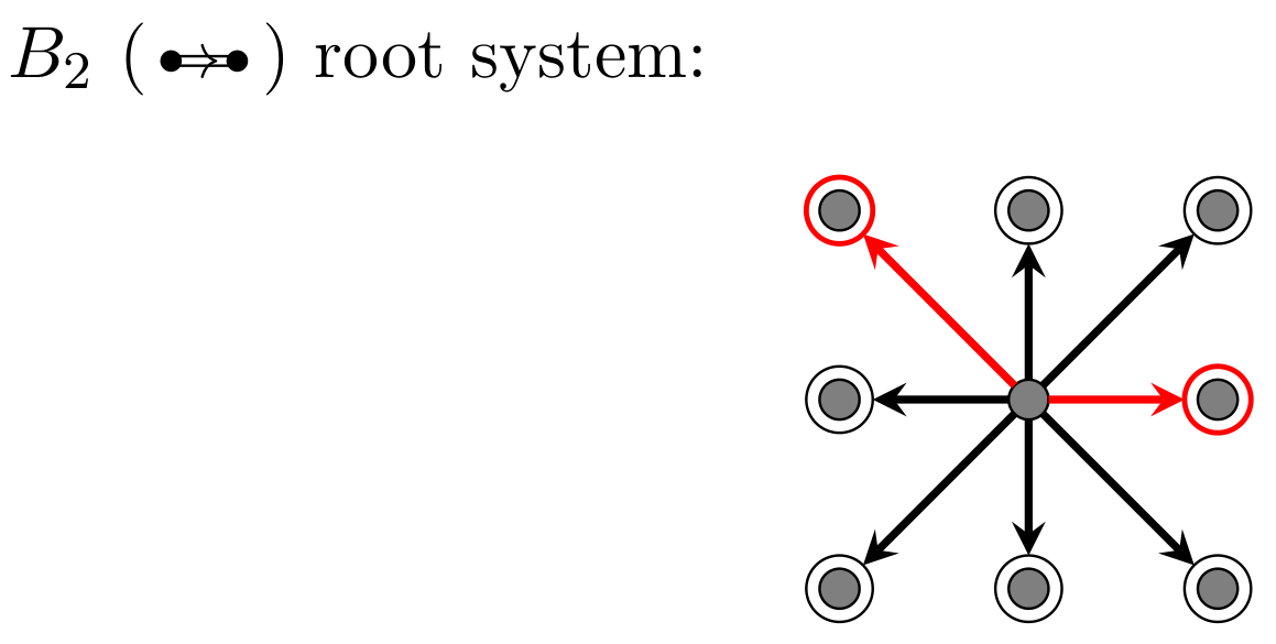 All About Root Systems. A visual introduction | by Ben Nasmith | Cantor's  Paradise