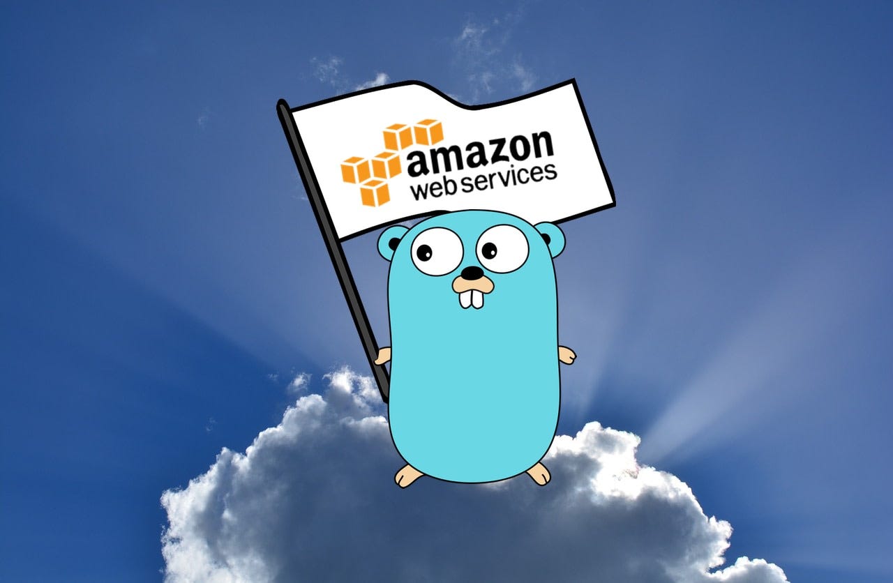 View Info About AWS AMIs In Go This Is A Very Short Example Showing 