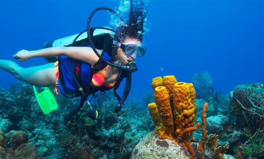 BEST RATED SCUBA DIVING IN GOA. Scuba Diving in Goa is one of the most ...