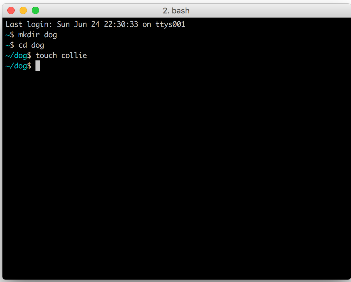 Creating new folders and files in terminal by Heather Cleland Medium