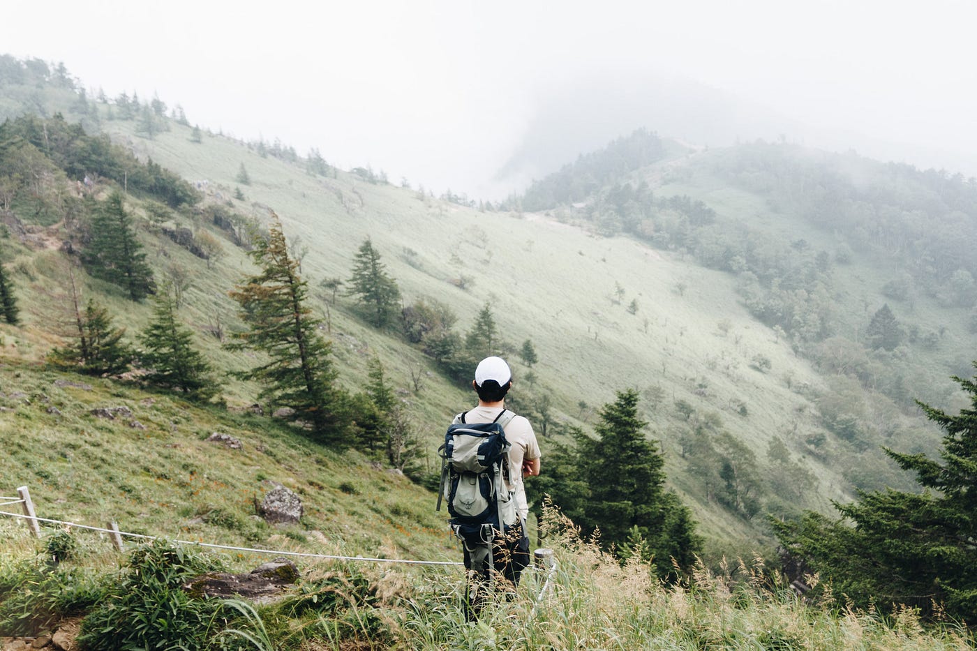 山梨 在360 視野的稜線上 遇見小鹿亂撞 大菩薩嶺單日健行 By Ycliu Drifting Soul Medium