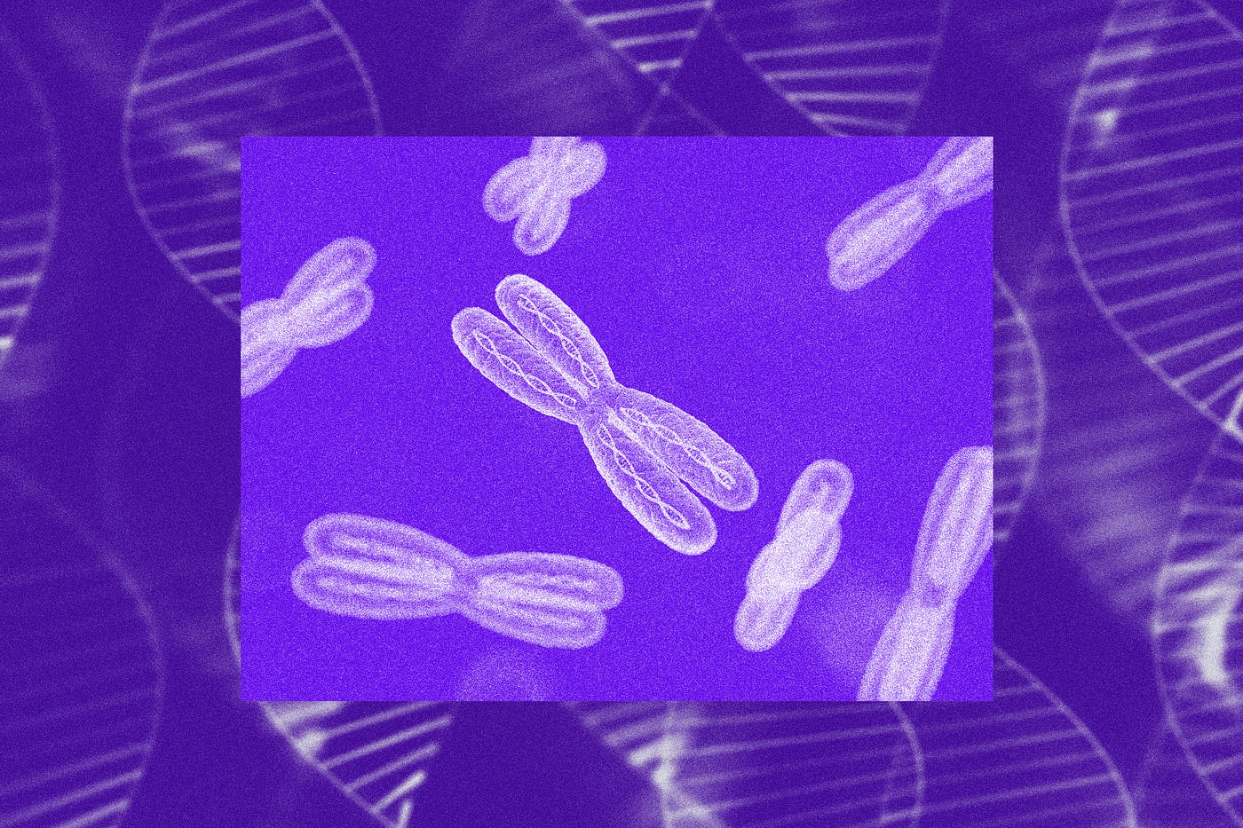 Photo illustration of X chromosomes against a background of wispy DNA helices.