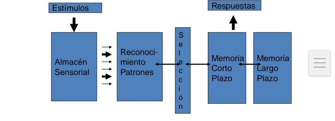 DONALD BROADBENT: ESTUDIOS POSTERIORES DE LA ATENCIÓN RESPECTO A SU MODELO  DEL FILTRO RÍGIDO | by Isabel Mateo | Introducción a la Psicología — ugr |  Medium