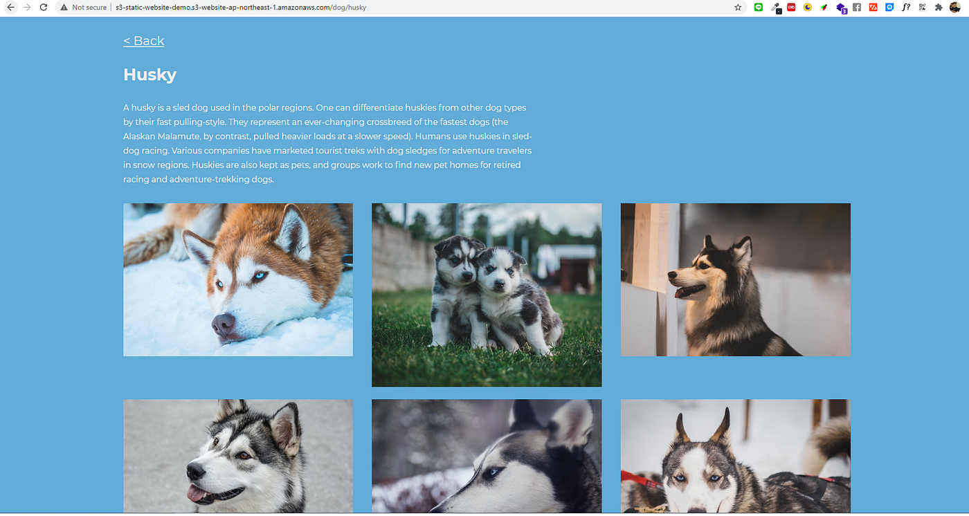 Demo static website husky page from S3