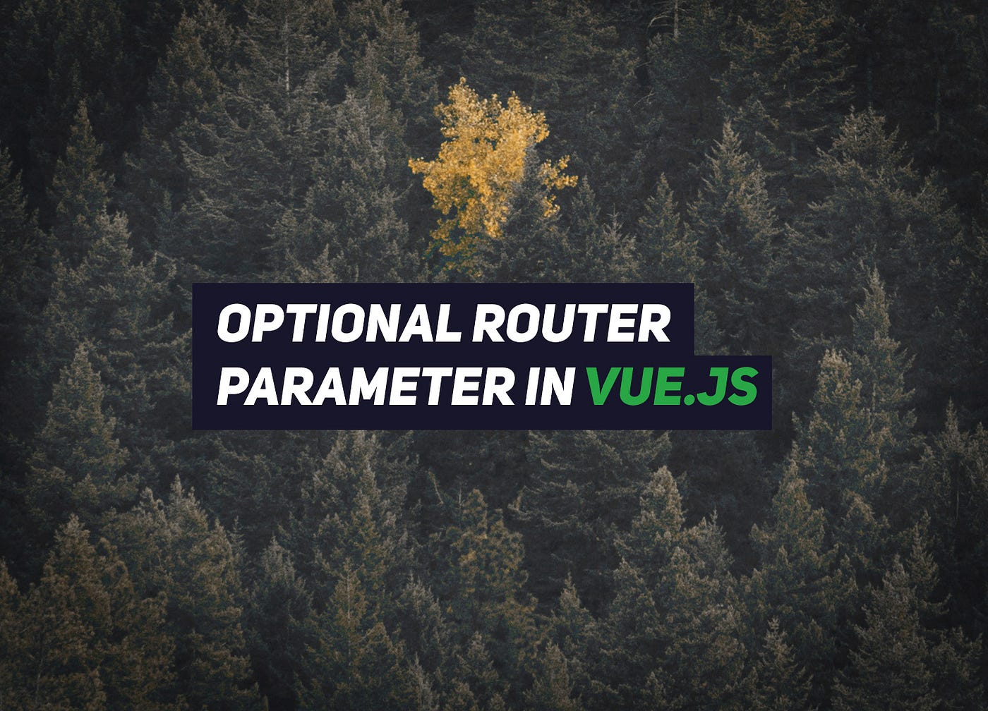 How to make router parameter optional in Vue.js | by Renat Galyamov | Medium