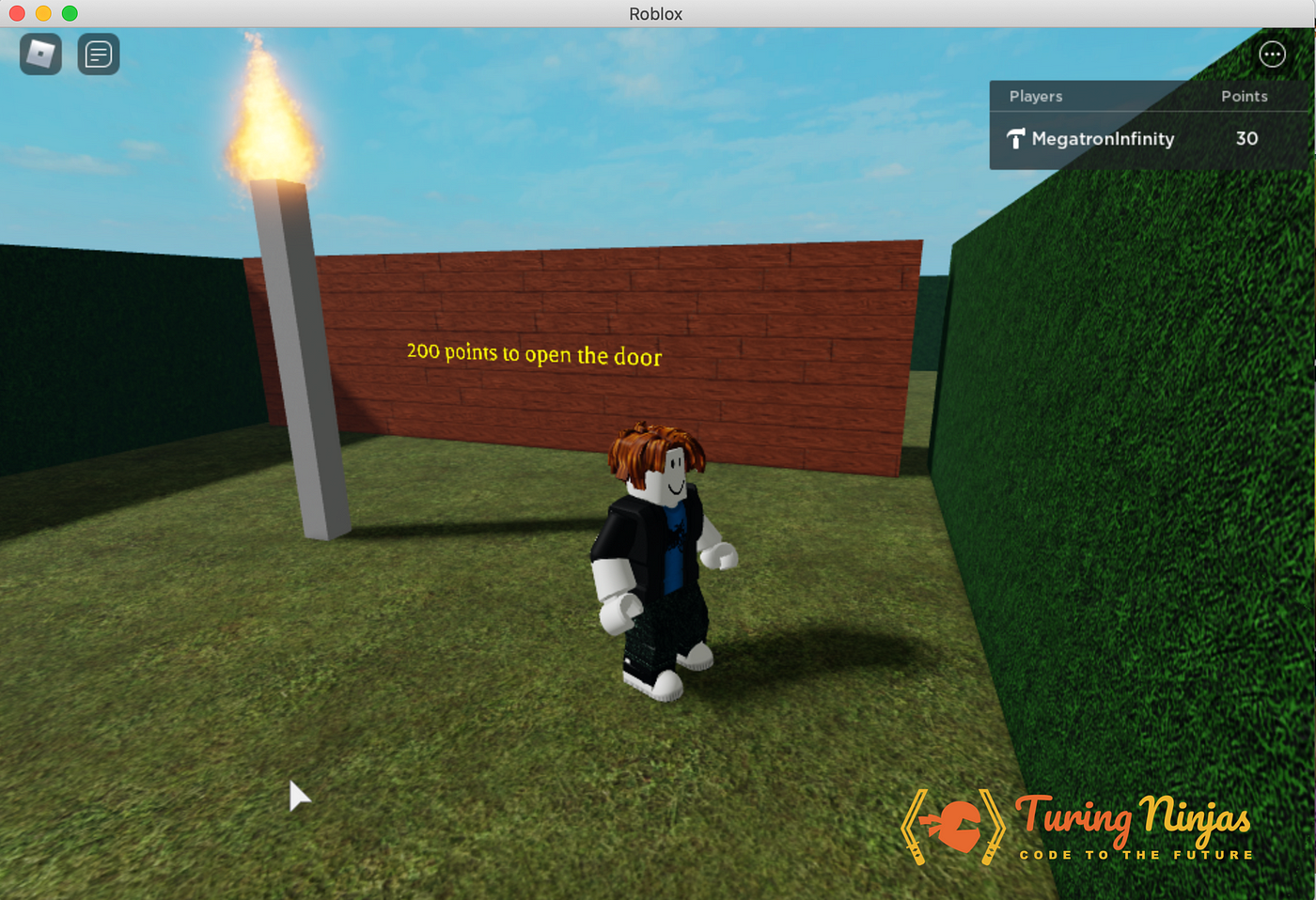 Why should kids learn Lua?  Turing Ninjas  Applications of Lua