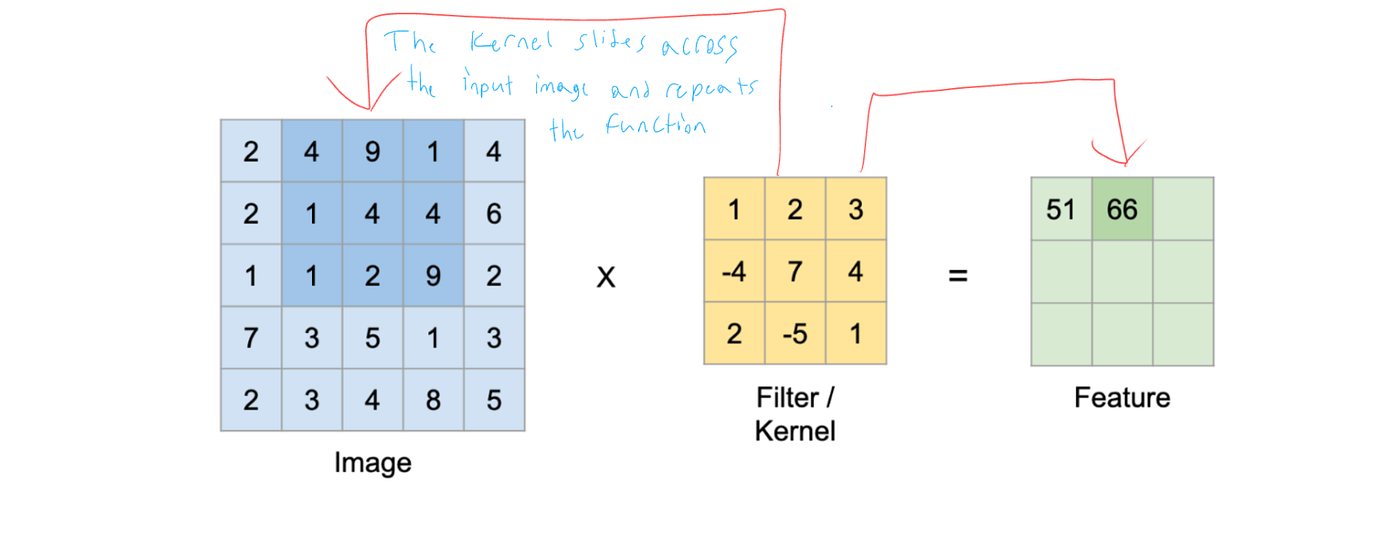 Transfer Learning with Fruit Classification | by James Nelson | Towards ...