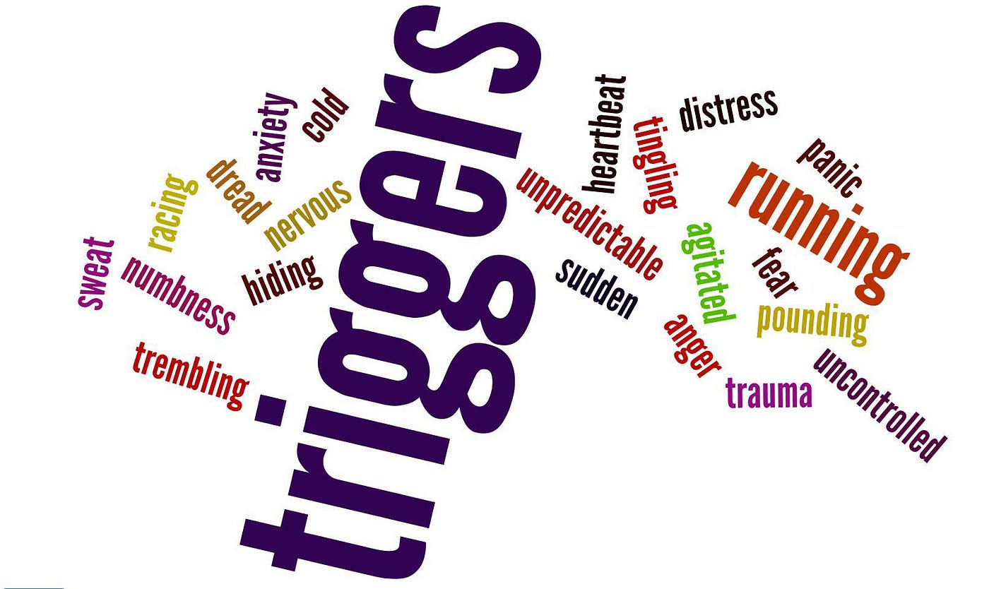 A number of triggers, panic, distress, fear, anxiety, nervous, anger, trauma