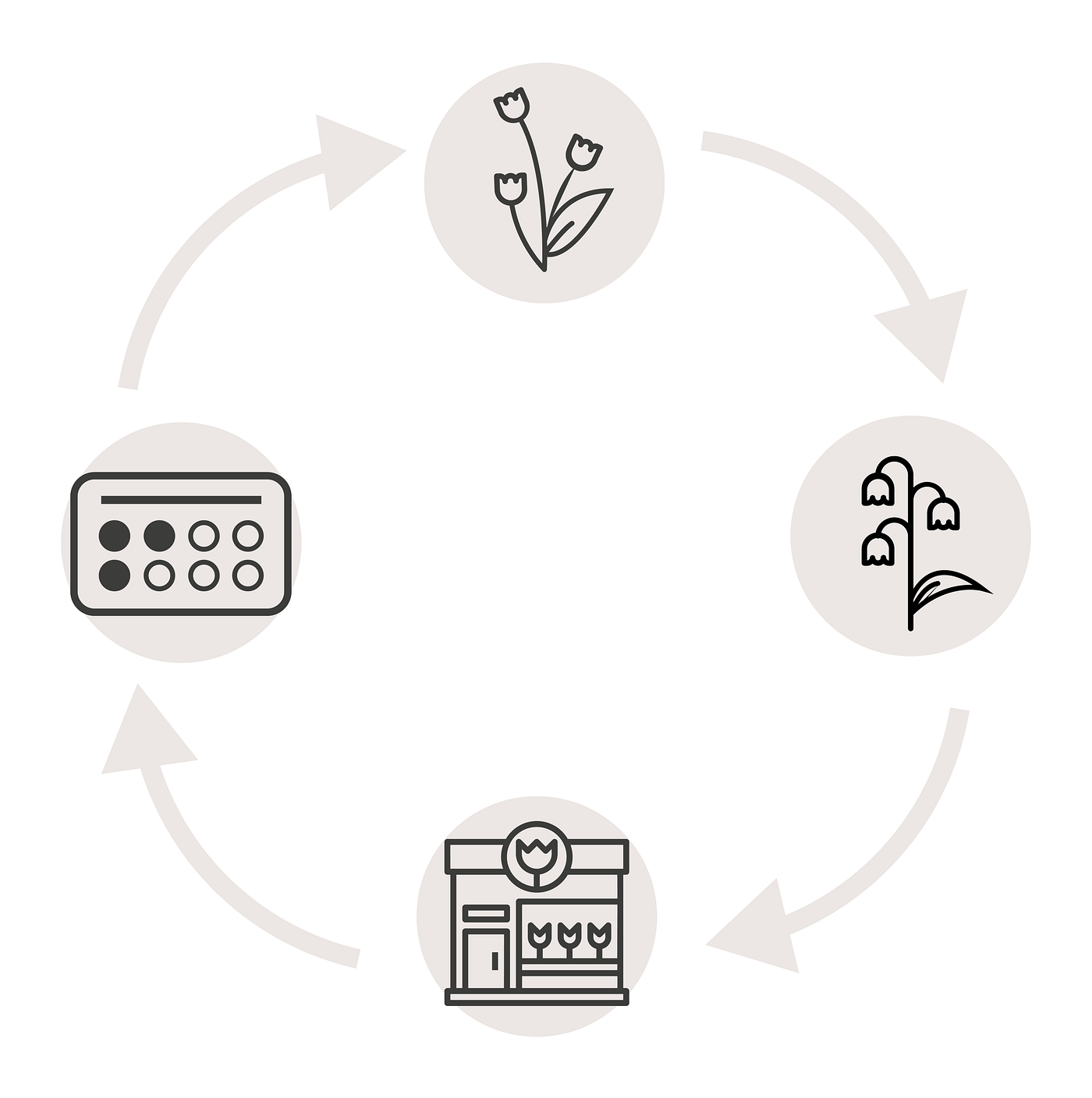 Cuanto Gana Un Diseñador Ux Ui Design Thinking. Plants&Roses. Parte 1: Primer diamante. | by Gracia E. | UX  Planet