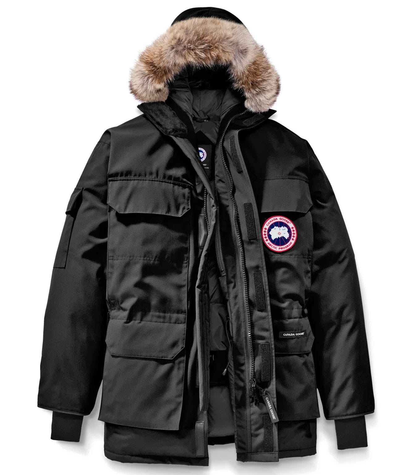 canada goose web quest