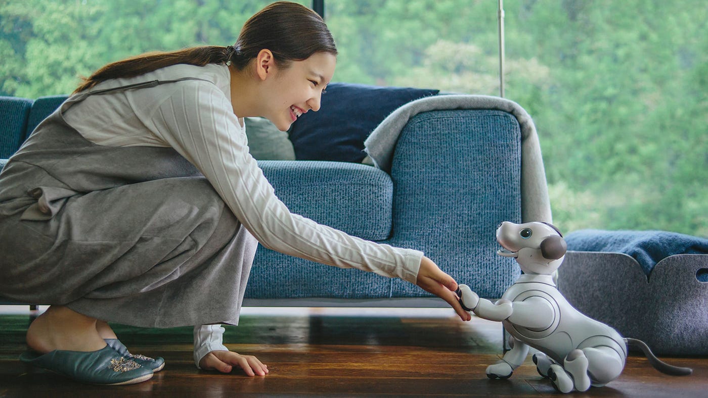 5 Pet-Robots That You Can Befriend | by vidzparu | Predict | Medium