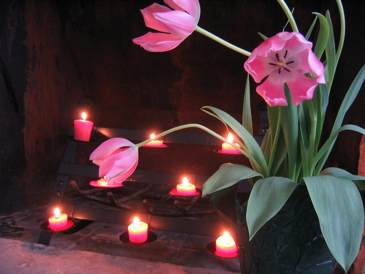 Tulips and Candles