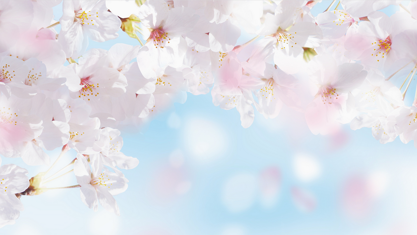 The Best Teams Backgrounds By Natalia Golenkova Bootcamp