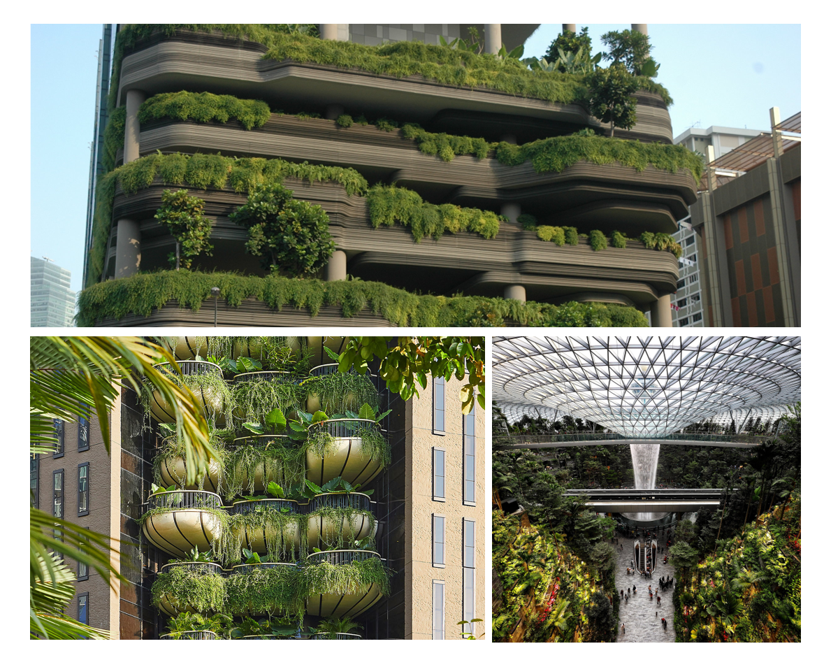 From bottom left clockwise: Notable biophilic architecture in Singapore by Thomas Heatherwick, WOHA and Moshe Safdie