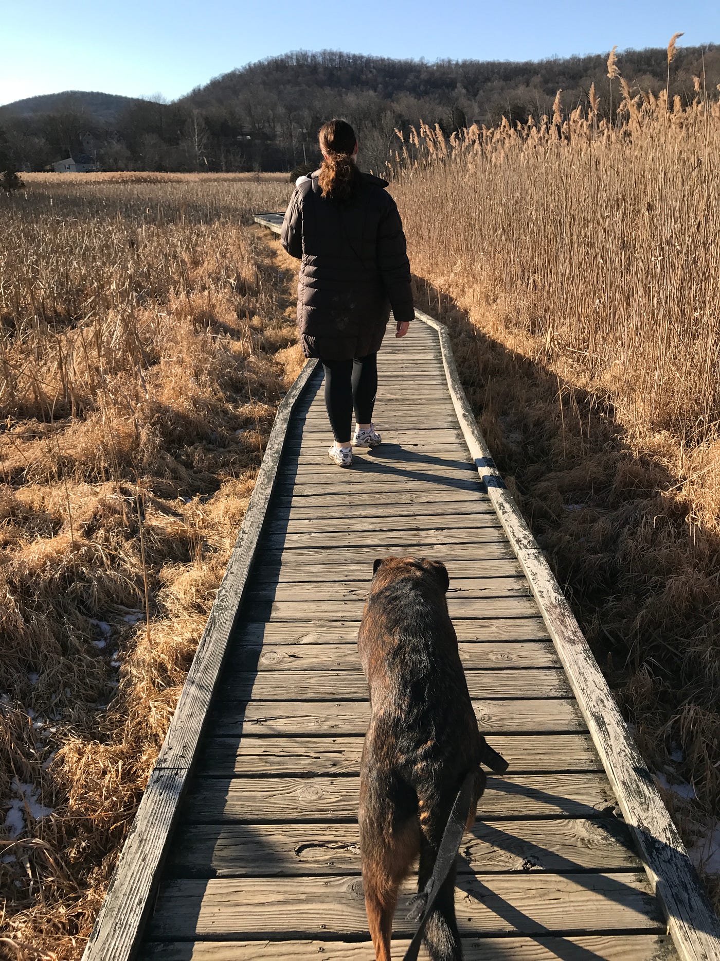 The 5 Best Child Infant And Stroller Friendly Hikes In Northern The 5 Best Child Infant And Stroller Friendly Hikes In Northern