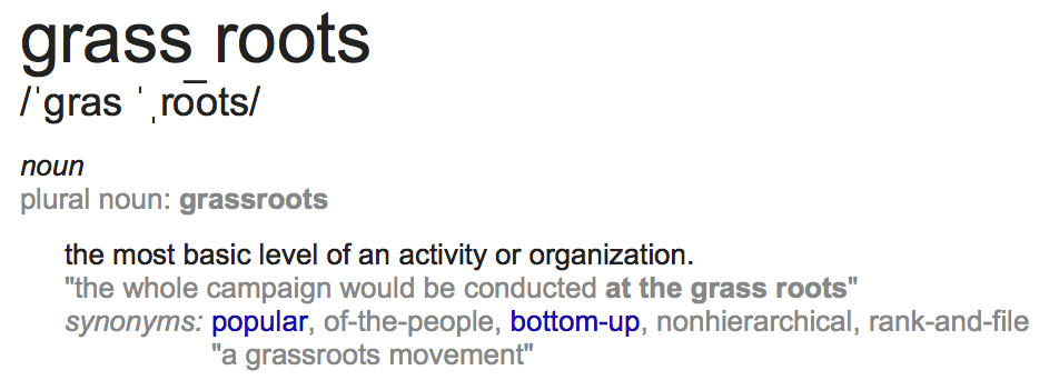 Why Your Grassroots Campaign Matters By Davia Sobelman Ink To The People Medium