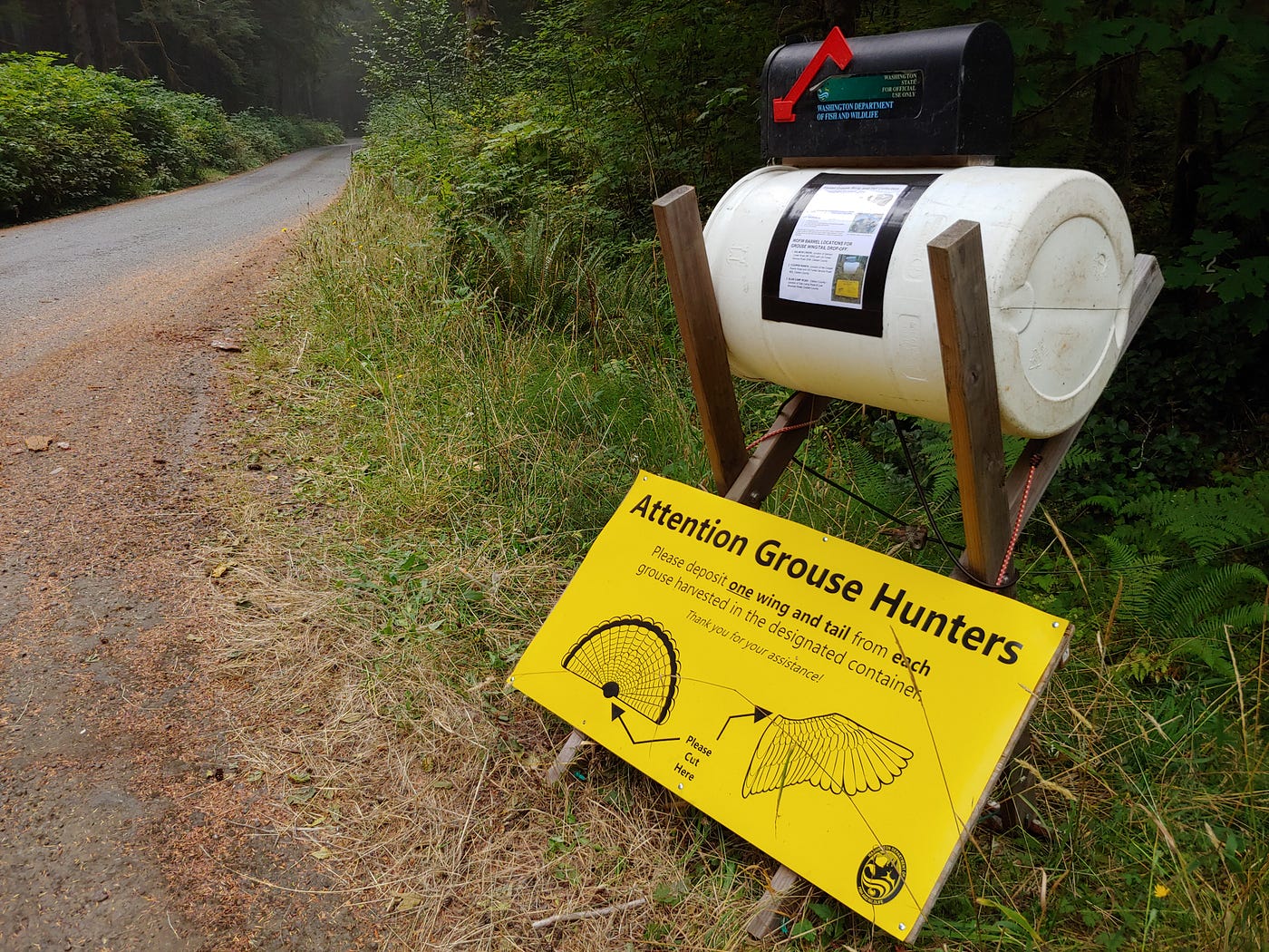 A WDFW grouse wing and tail collection barrel is seen at Forest Service Road 29 in Clallam County. (Michael Foster/WDFW)