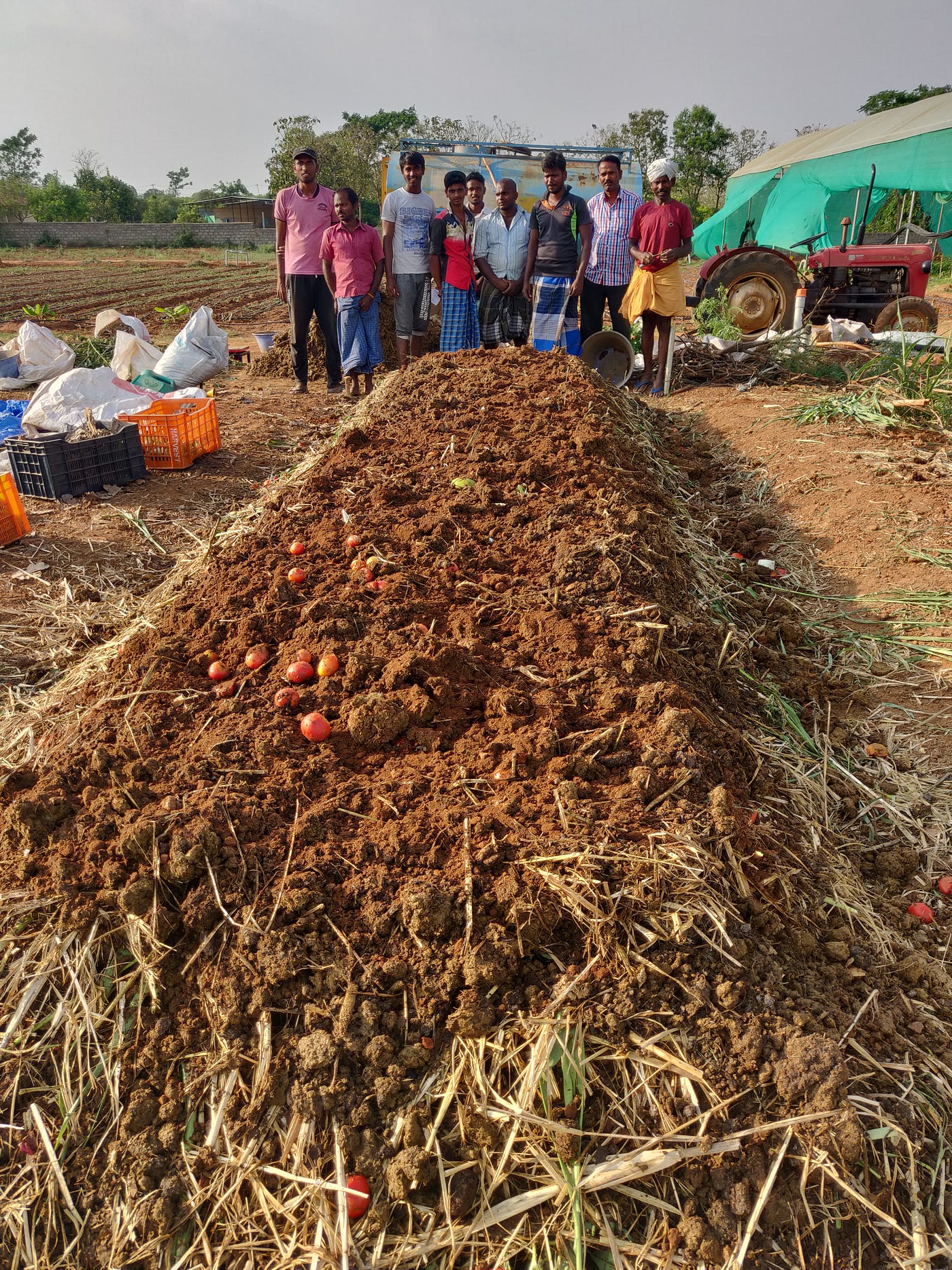 Compost The Heart Of Farming And The True Root Cause Of Health By Shankar Venkataraman Medium