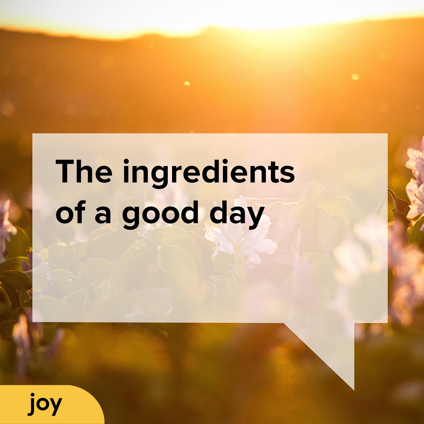 A photo of a sunny day with flowers in the foreground. Overlaid is a semi-transparent speech bubble with the words ‘The ingredients of a good day’ in bold black sans serif type. There is a yellow lozenge bottom left with the word Joy in black.