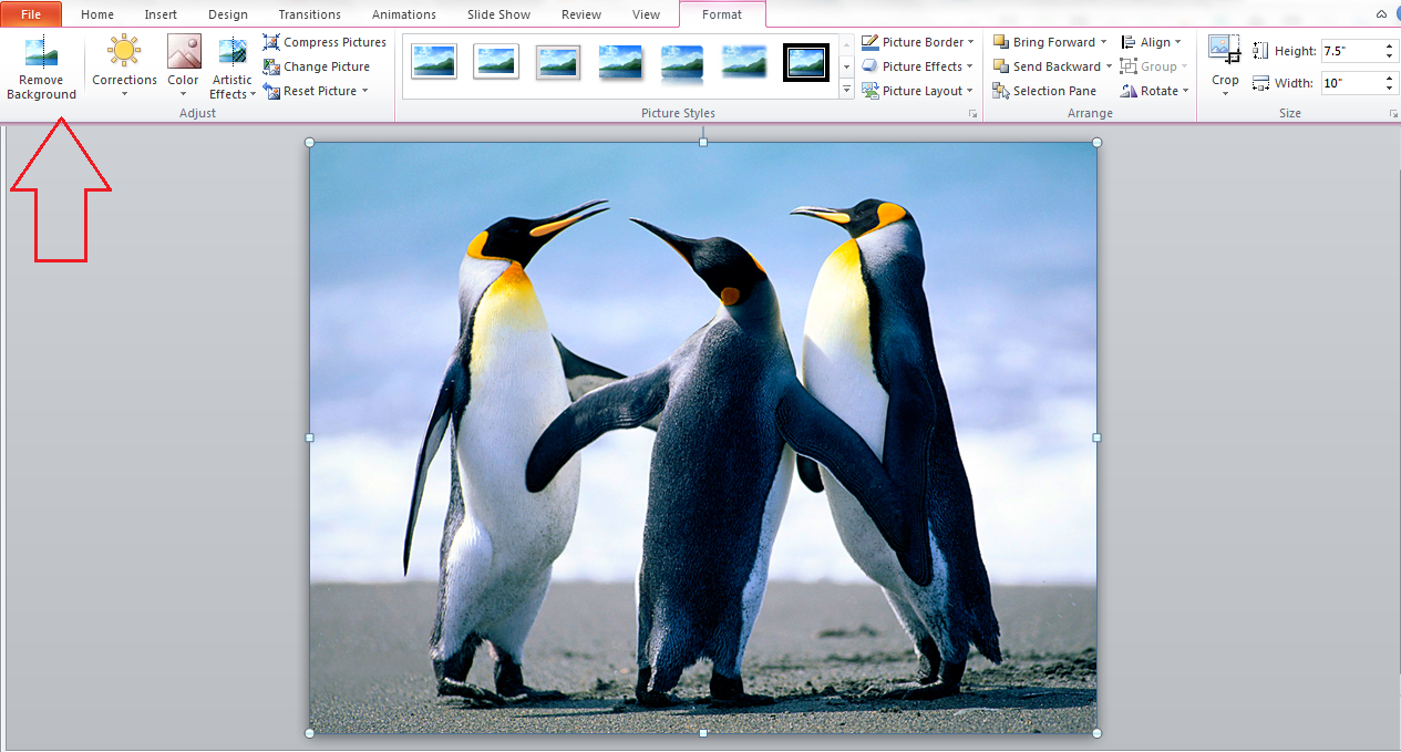 Details 300 how to remove background from image in powerpoint Abzlocal.mx