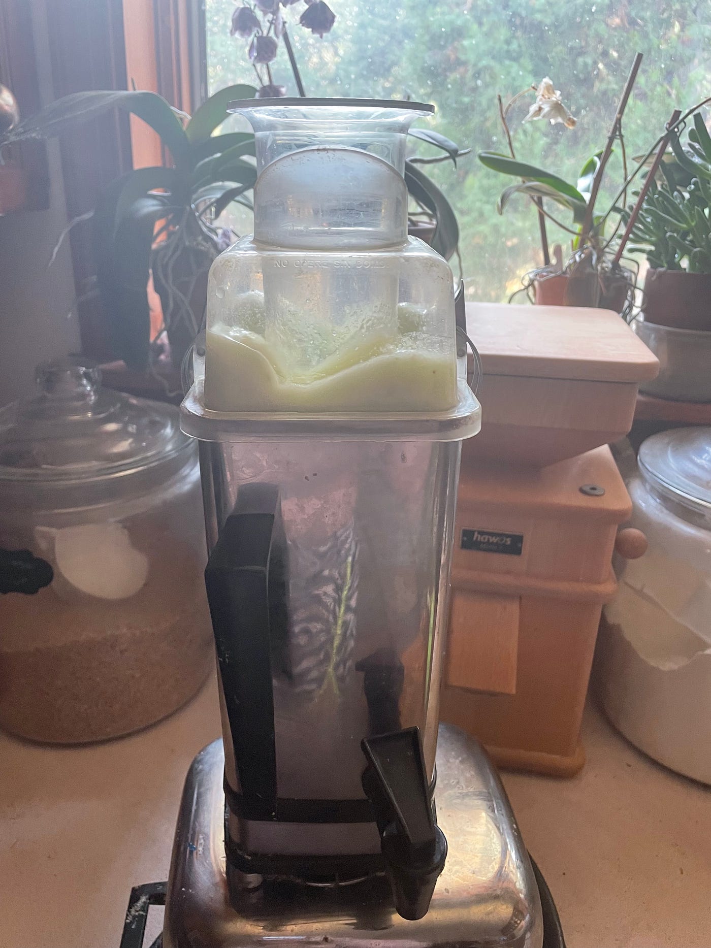 Celery juice blending in the blender on the counter.