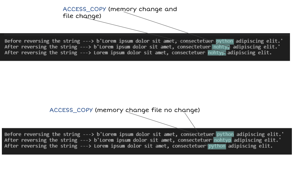 Python Mmap Shared Memory Memory Mapping Files And Mmap Module In Python(With A Lot Of Examples) | By  Siddharth Kshirsagar | Analytics Vidhya | Medium