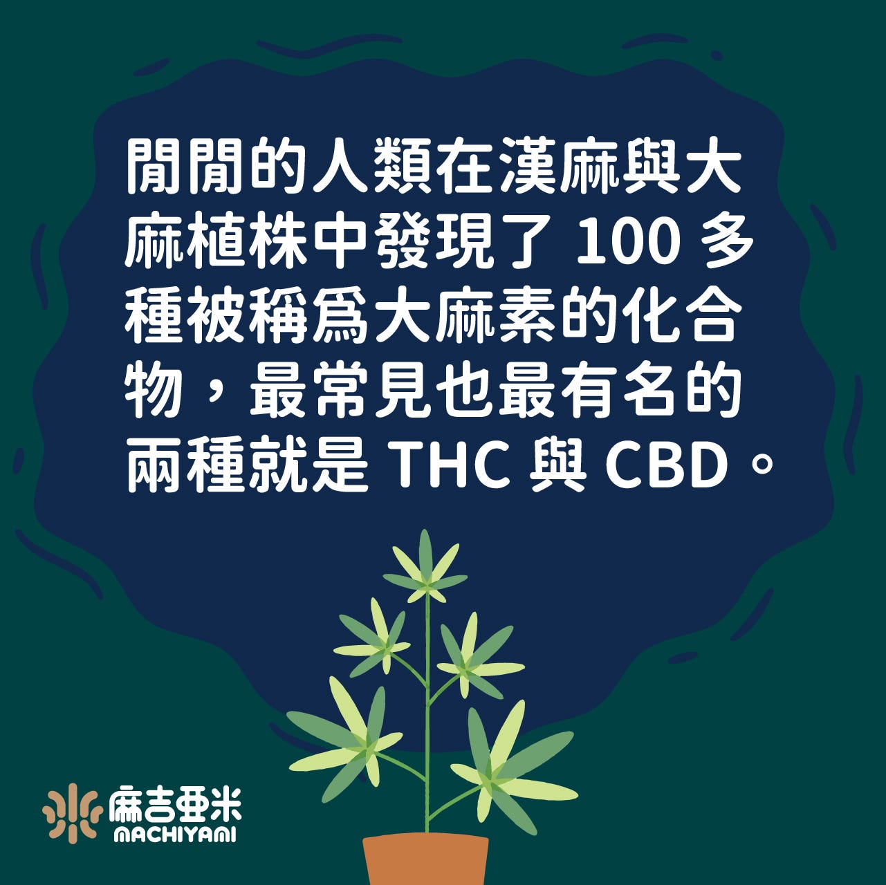 大麻知識 什麼是cbd 閒閒的人類在漢麻與大麻植株中發現了100 By Labrada Chang 麻吉亞米machiyami Medium