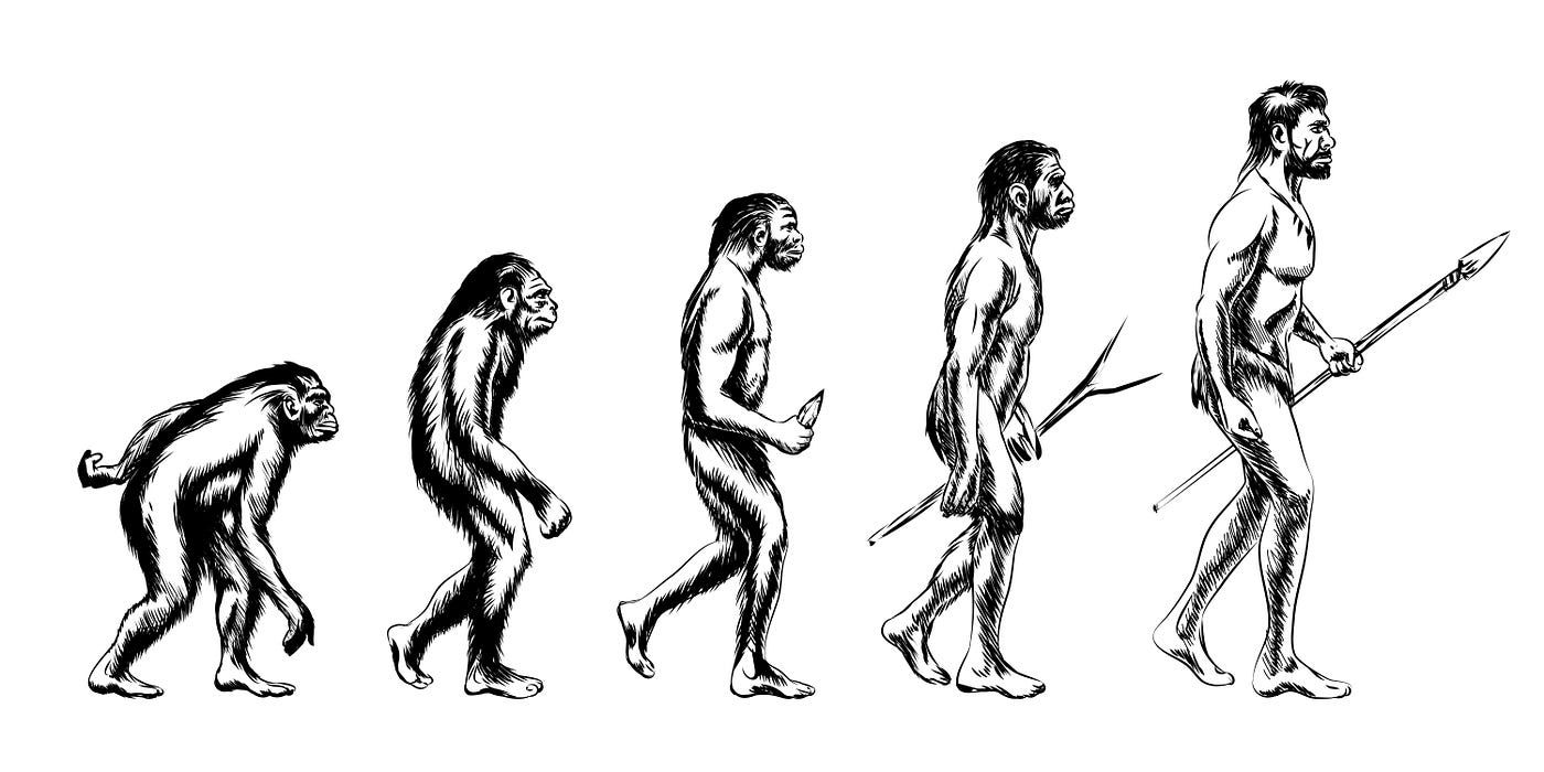 human evolutionary timeline