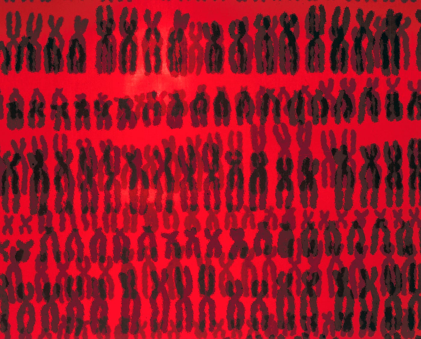 Red chromosome exhibit surrounding the ‘Live Science’ area of the ‘Who Am I?’ Gallery at the Science Museum in London.