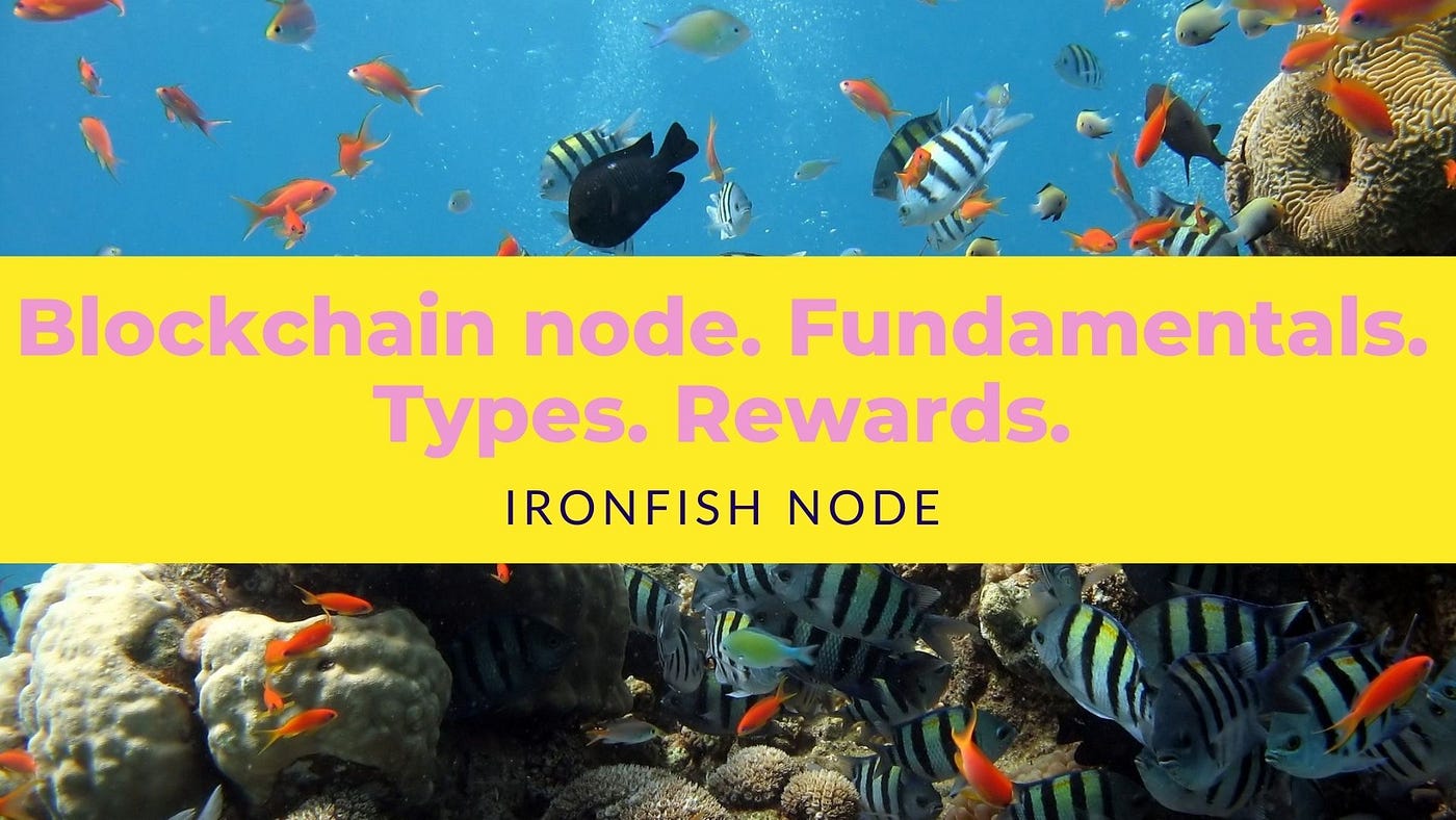 Blockchain node. Fundamentals. Types. Rewards. Iron Fish Node. by Val