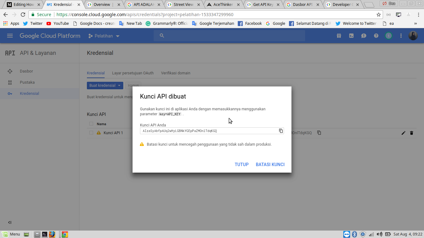 How to Get Your Google Maps API and Google Streetview API by Enita