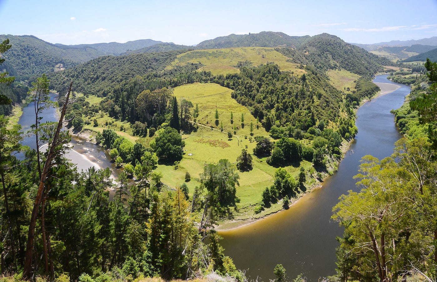 A photo of the Whanganui River in New Zealand.