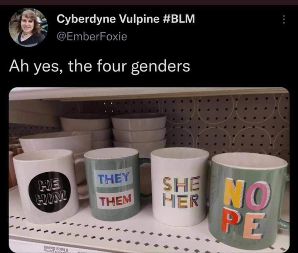 capture d’écran d’un tweet de @EmberFoxie avec une photo de 4 tasses illustrées he/him, they/them, she/her, NOPE, et son commentaire “ha oui, les quatre genres”
