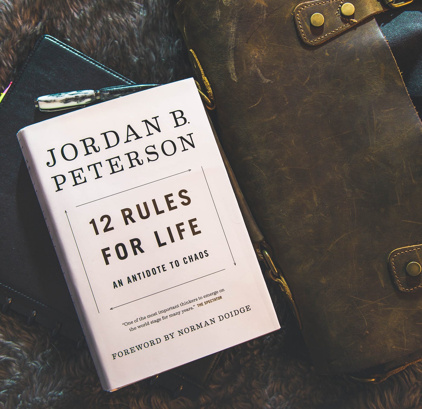 Monsters, Birthday Cake, and Jordan Peterson's New Book | by Steve QJ |  ILLUMINATION | Medium