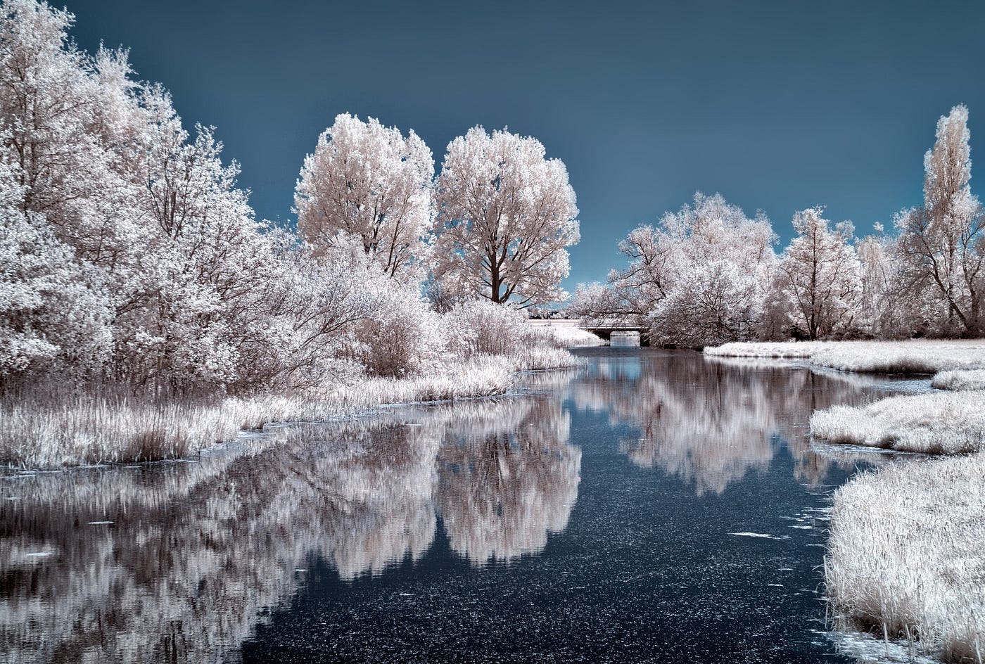 10 Lightroom Editing Tips to Transform Your Winter Photos | by David  Sornberger Photography | Medium