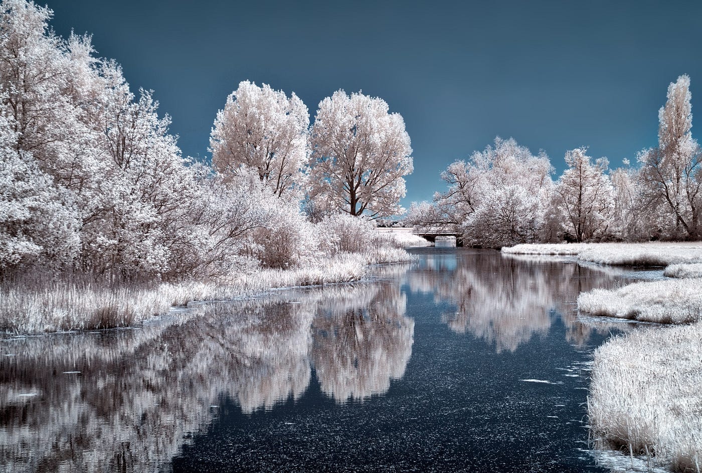 10 Lightroom Editing Tips to Transform Your Winter Photos by David