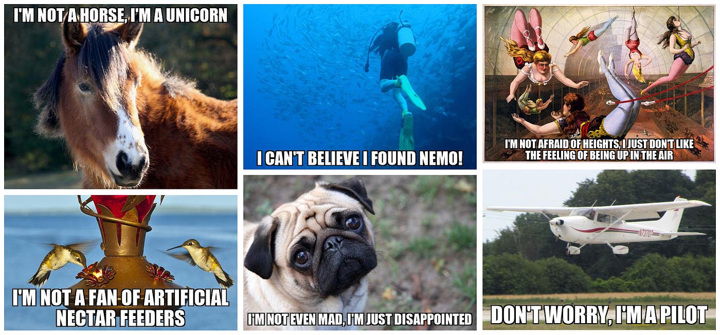 Ai Memer Using Machine Learning To Create Funny Memes Towards Data Science