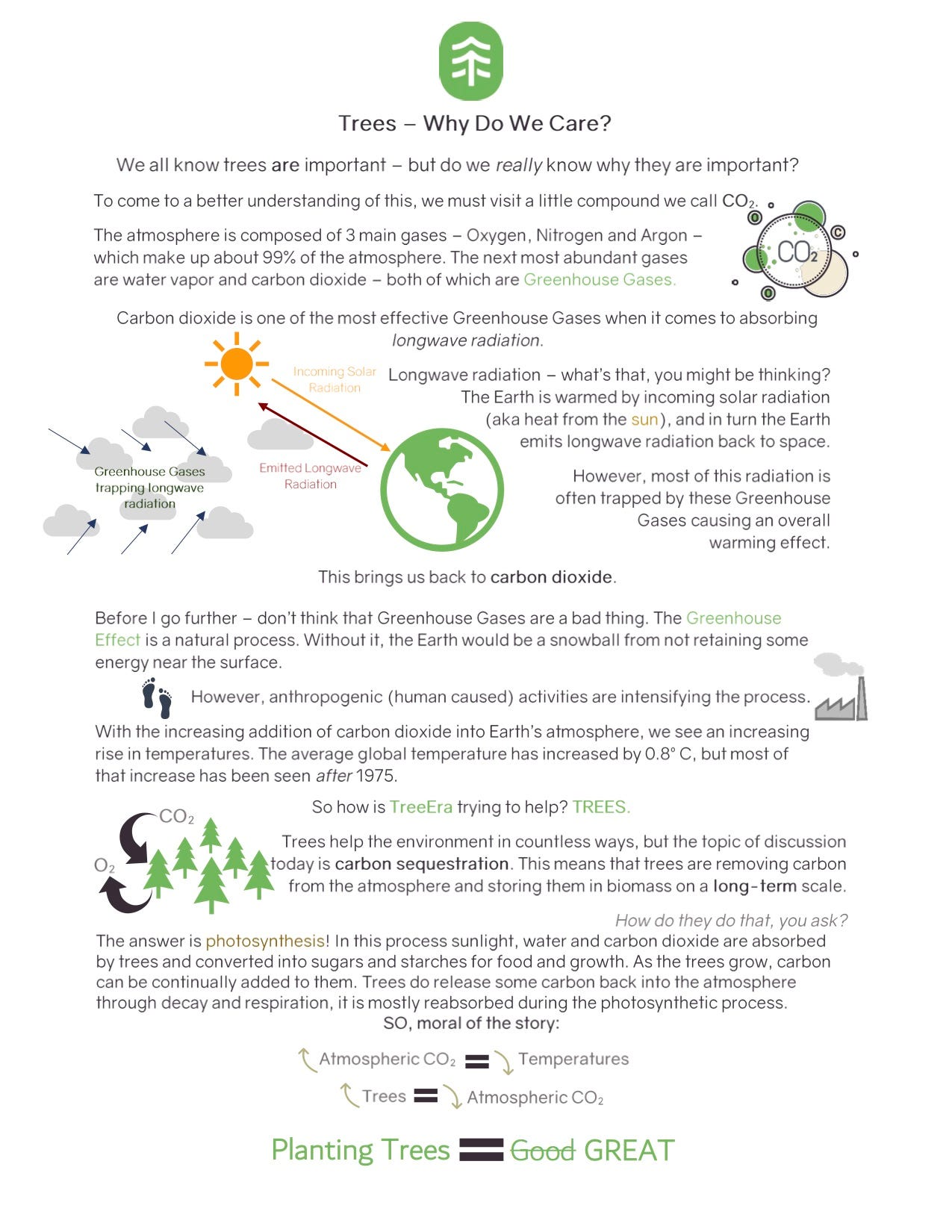 How Do Trees Really ‘Work’?. Trees provide different meanings… by