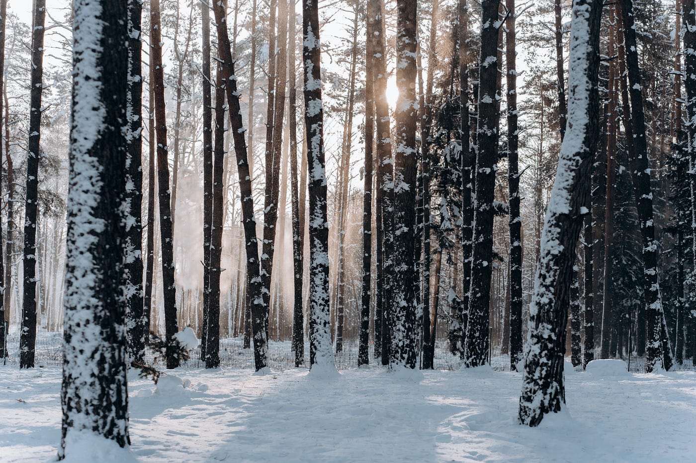 Download 10 Songs To Soothe Your Soul This Winter By Gabriela Kettle The Riff Medium