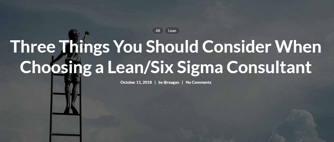 lean six sigma consultant