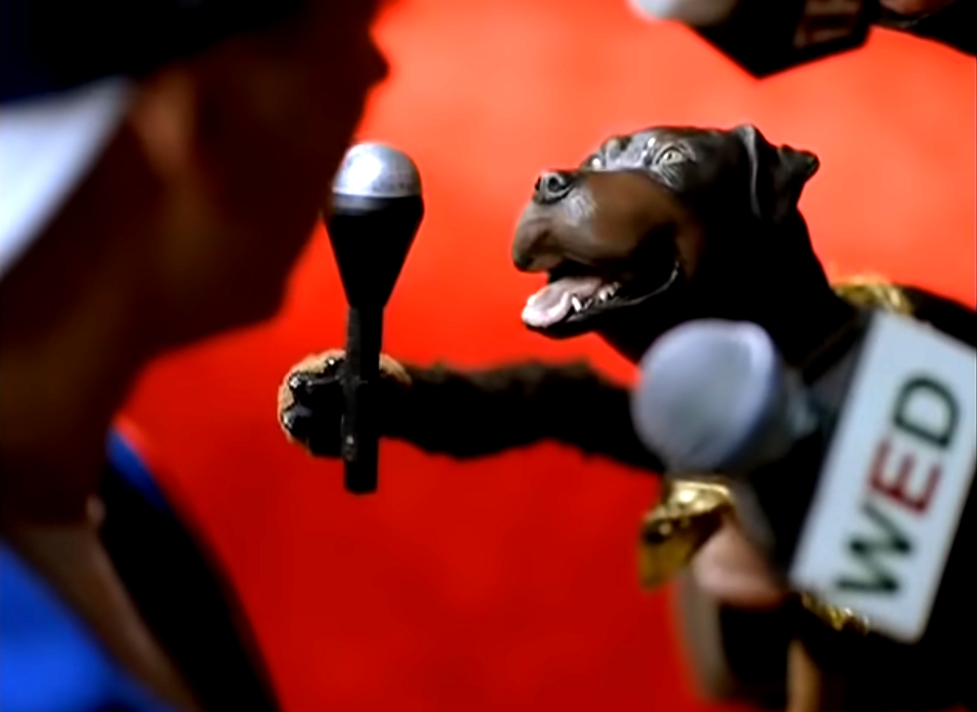 Pooping On Everything With Triumph The Insult Dog | by Anthony Mountjoy ...