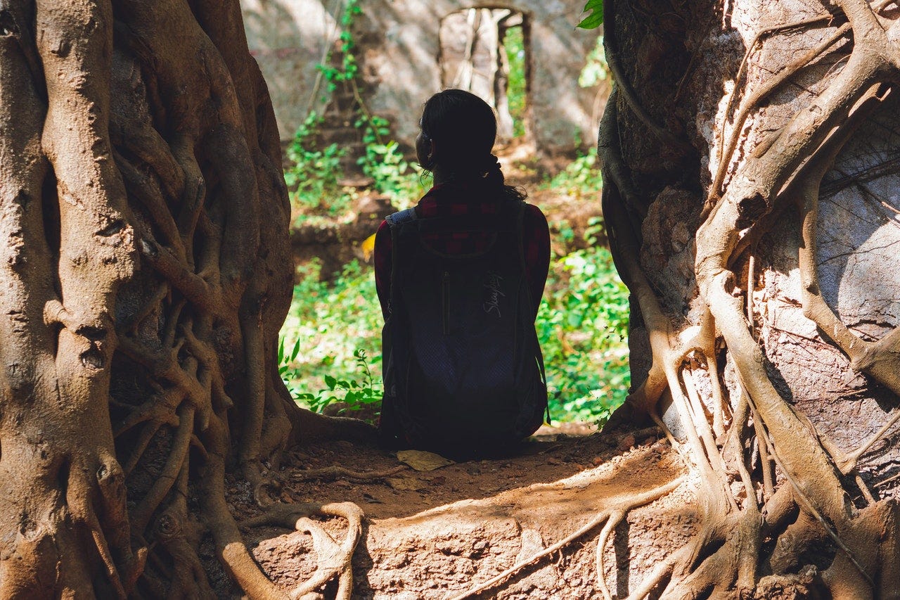 young woman sitting between two trees, roots, nature