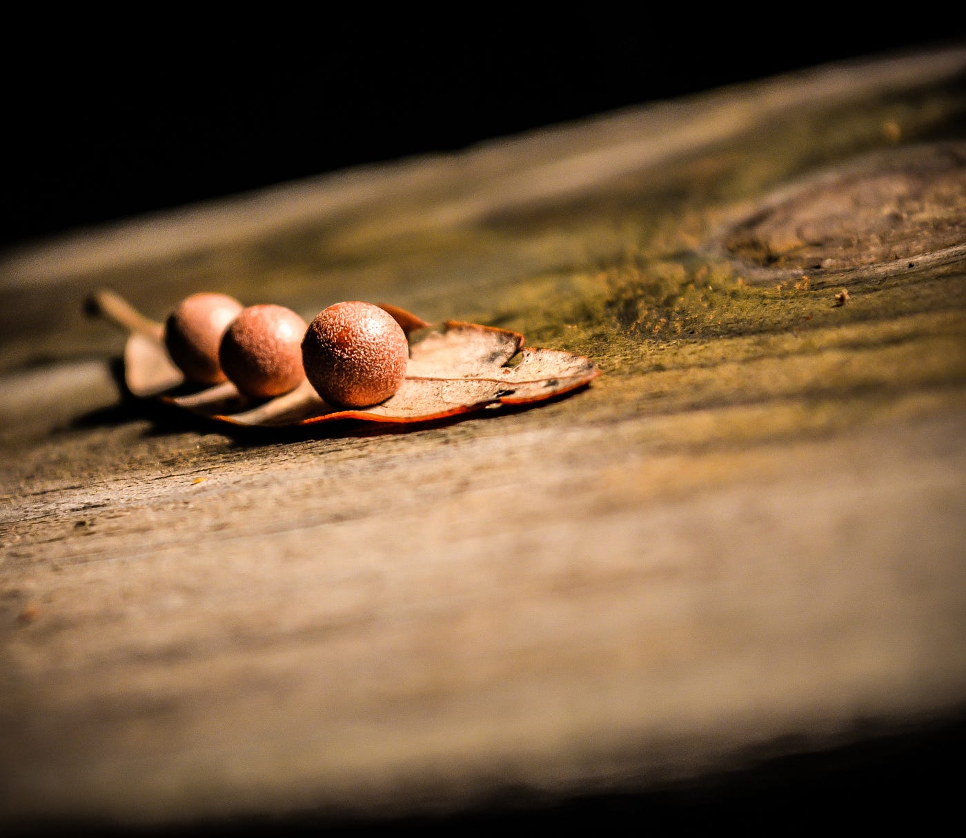 three seeds on a leaf on a semi-blurred wooden board